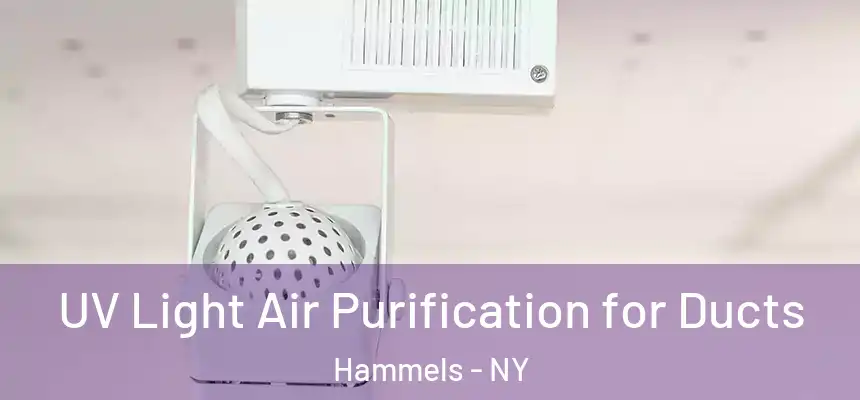 UV Light Air Purification for Ducts Hammels - NY