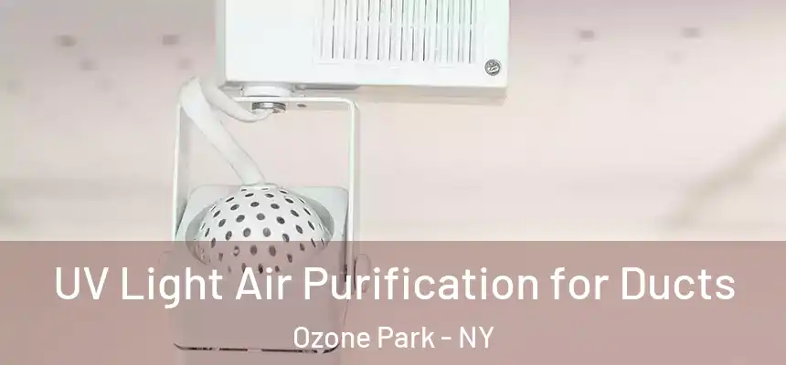  UV Light Air Purification for Ducts Ozone Park - NY
