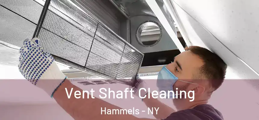  Vent Shaft Cleaning Hammels - NY