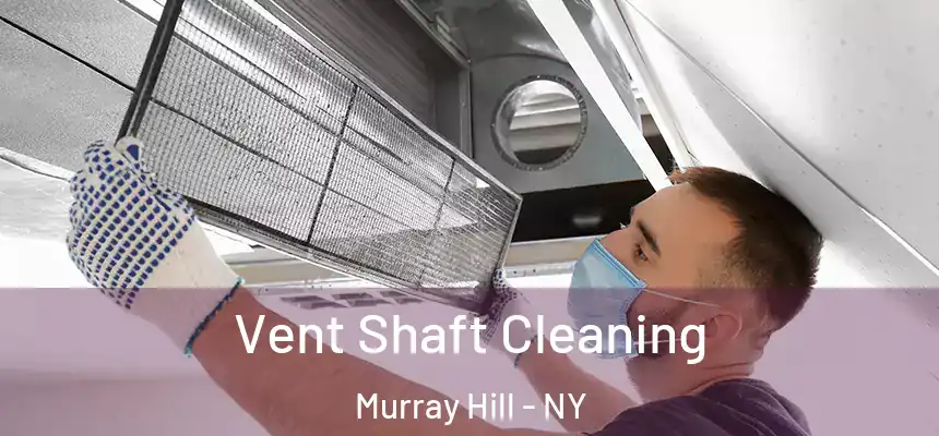  Vent Shaft Cleaning Murray Hill - NY