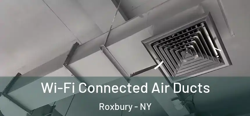  Wi-Fi Connected Air Ducts Roxbury - NY